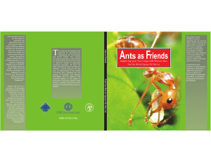 ants as friends english