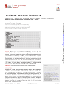 Candidiasis litrature