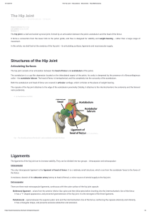 The Hip Joint - Articulations - Movements - TeachMeAnatomy