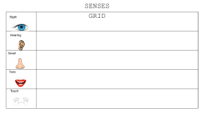 Senses grid