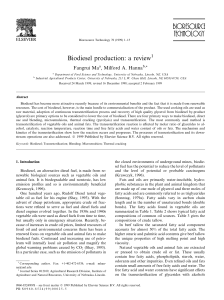 Biodiesel journal