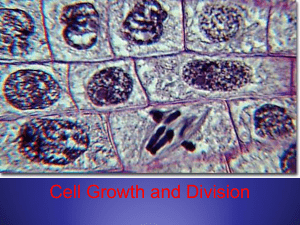 Cell Growth and Division MOD