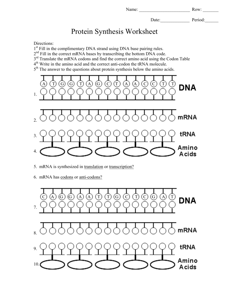 Protein Synthesis Worksheet 110619