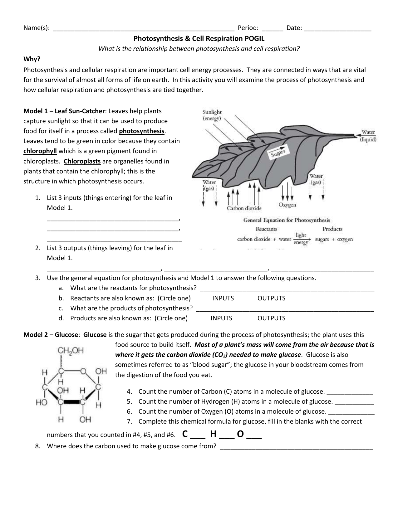 Photosynthesis What S In A Leaf Worksheet Answers Pogil ...