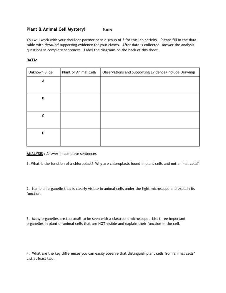 Plant And Animal Cells Mystery Worksheet Answer Key