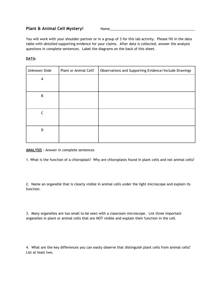 plant-and-animal-cells-mystery-worksheet-answer-key