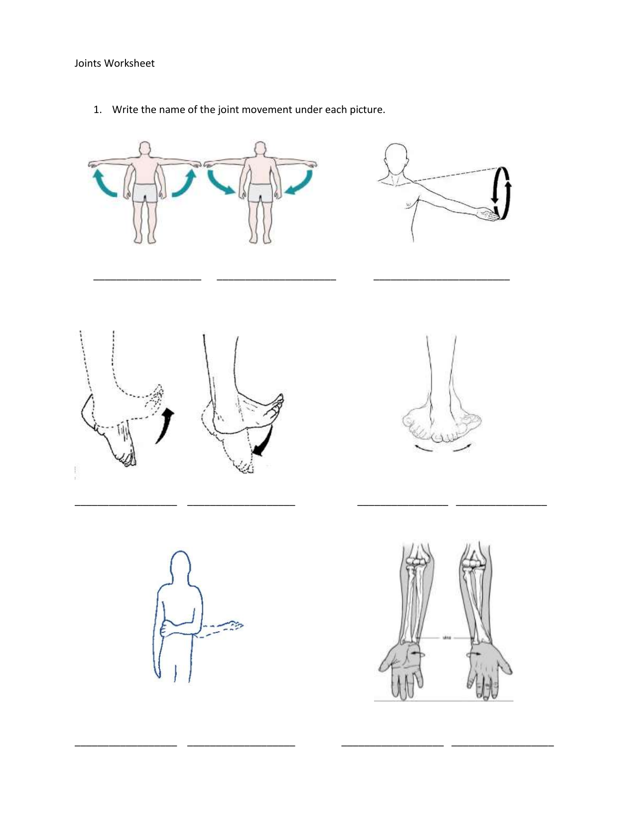 Joints Worksheet Intended For Joints And Movement Worksheet
