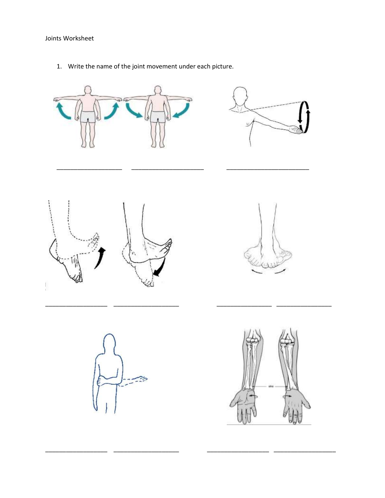 Joints Worksheet With Regard To Joints And Movement Worksheet