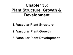 Bio7 Chapter 35 lecture
