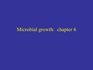 Microbial growth