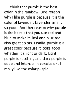 Opinion Paragraph Example color purple