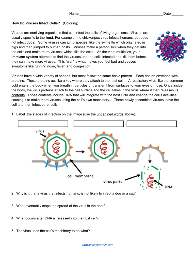 Virus Coloring