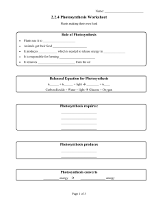 Photosynthesis Worksheet: Plants Making Food