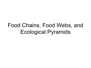 Food ChainsFood Websand Ecological (1)