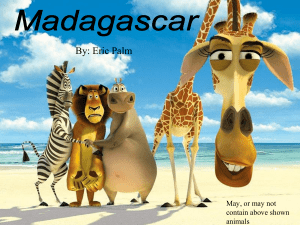 Madagascar - Eric Palm