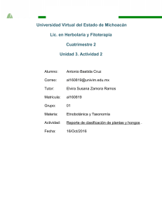 LHF0-206-3.2-ABastida-Reporte-de-Clasificacion-de-Plantas-y-Hongos
