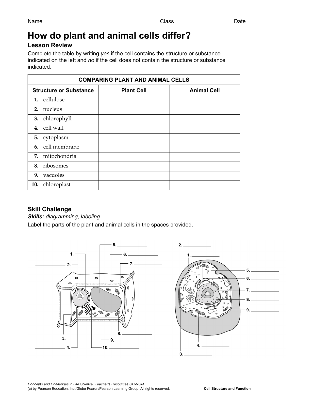 Animal And Plant Cells Worksheet