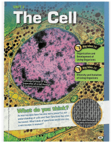 unit 2 - the cell
