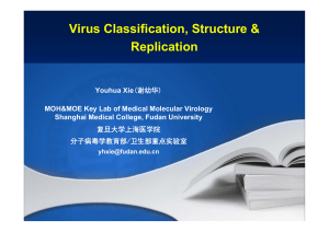 viral classification