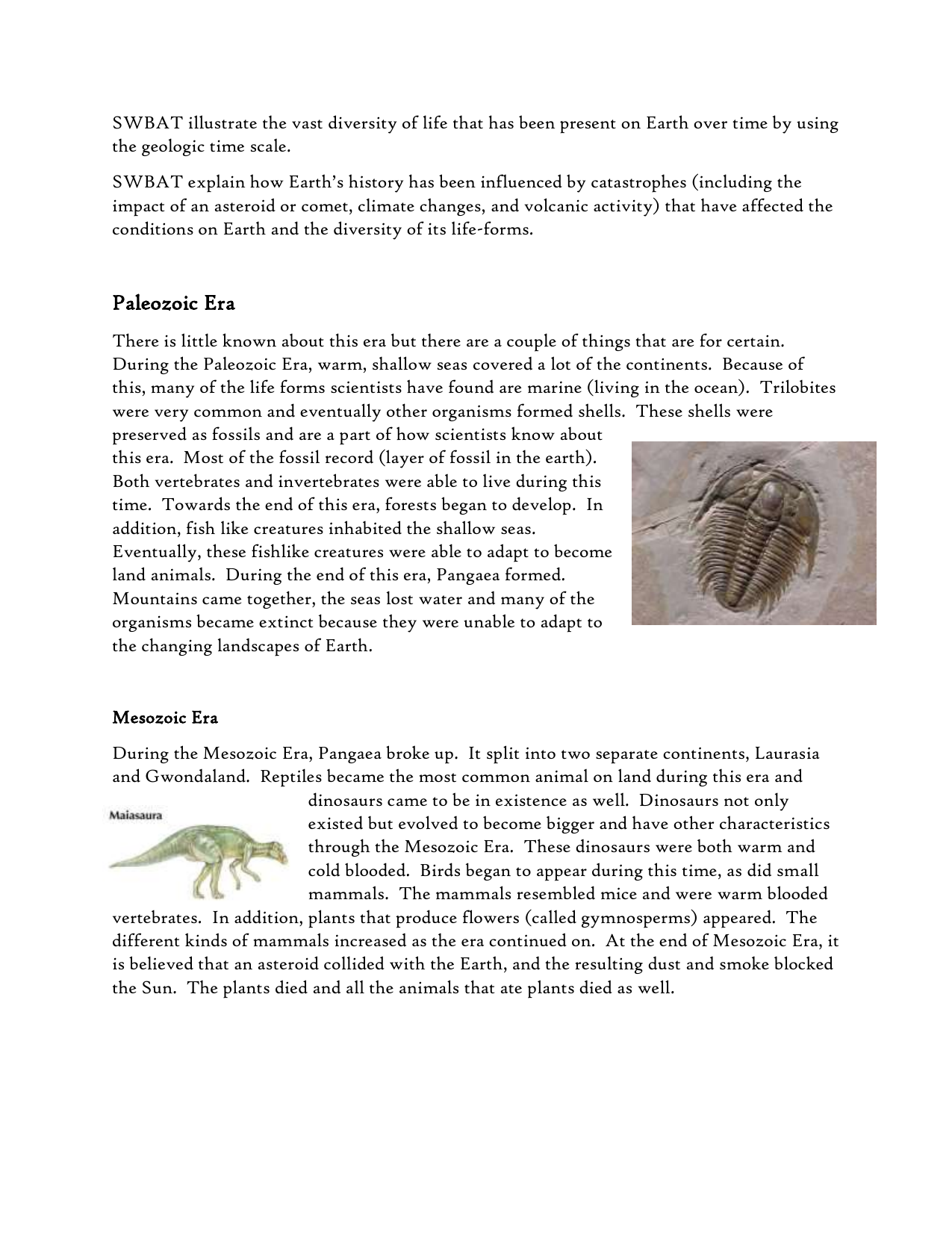 Paleozoic Era Climate Conditions