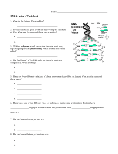 DNA Structure Worksheet