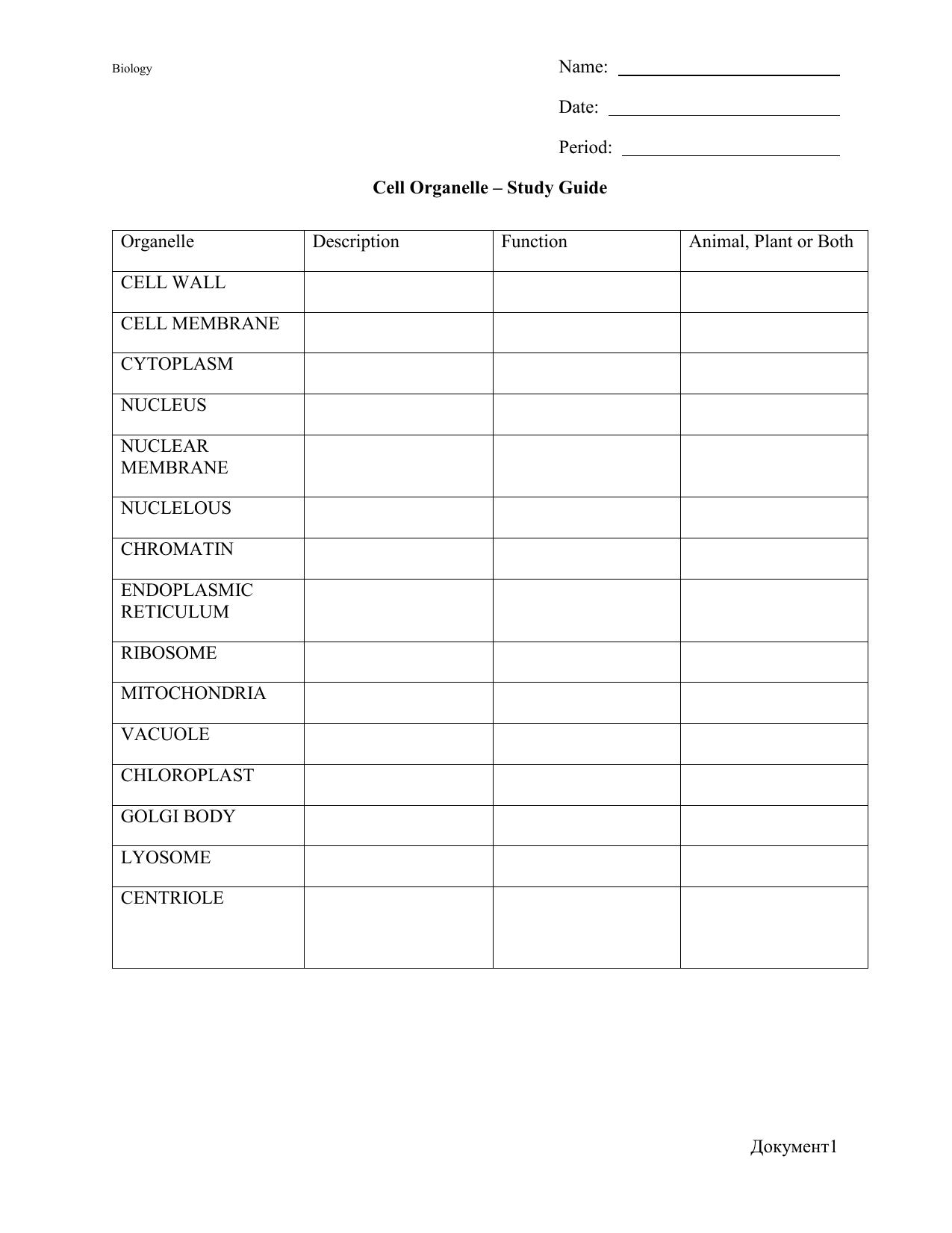 Cell Organelle - Study Guide