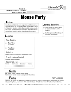 mouse party