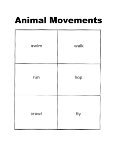 Animal Movements