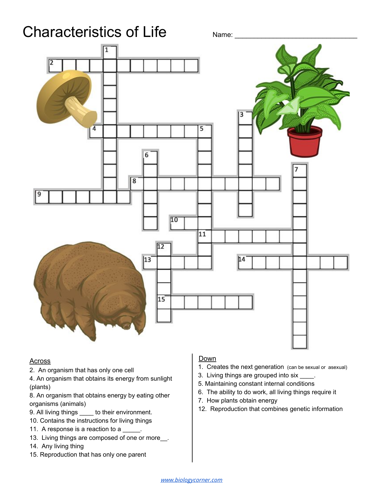 Characteristics Of Life Word Search