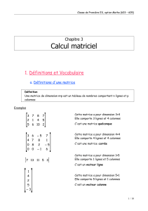 Calcul matriciel Cours