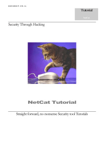 netcat tutorial