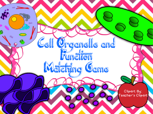 Cell Organelle Memory Matching Game