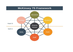 McKinsey7sPicture