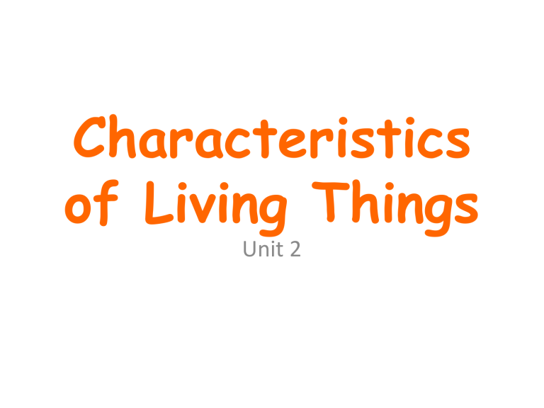 What Is Order In The 7 Characteristics Of Life