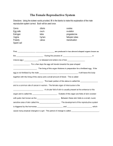 reproductive system worksheet