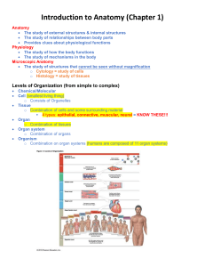 @ 1- Intro to & Language of Anatomy Outline F19