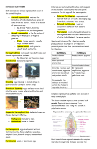 Animal Reproductive Systems: Asexual & Sexual Reproduction