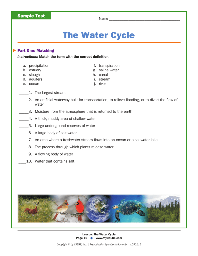 The Water Cycle Worksheet