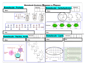 biomolecules simple notes