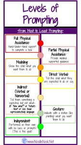 Levels of Prompting Infographic- via NoodleNook (1)