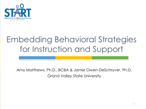embedding behavioral strategies 17-18 handout