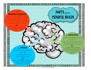 mindful brain poster