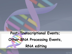 Post transcriptional events