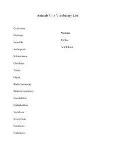 Animals Unit Vocabulary List