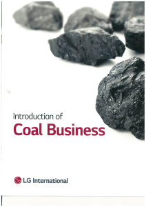 LGI Coal Business Profile
