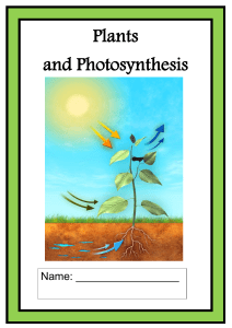 PlantsandPhotosynthesis