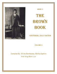 The-Brown-Book-Vol-2