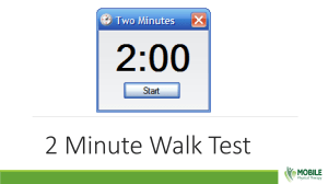 Aerobic capacity 2 Minute Walk Test