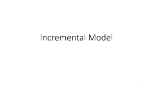 7. P1 Incremental Model