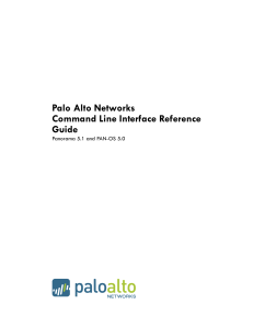 Palo alto command detailed explain